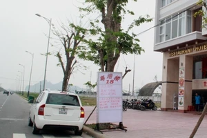 Đà Nẵng: Đề xuất tổng rà soát lao động người Trung Quốc