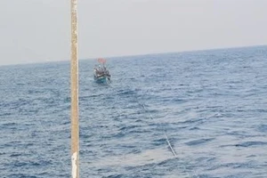 Cứu sáu ngư dân gặp nạn khi đang diễn tập cứu nạn trên biển