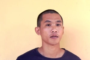 Vừa ra tù lại táo tợn đi cướp giật hàng loạt