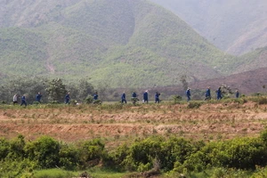 Đà Nẵng: Người nghiện tăng đáng báo động