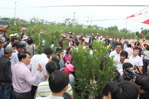  Làng quật nức tiếng Hội An 'đọ sắc' trong ngày hội