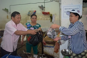 Đà Nẵng: Chính thức đưa cá sạch ra các chợ bán cho dân
