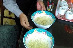 Gạo trắng ngâm chuyển thành màu xanh là do... nấm mốc