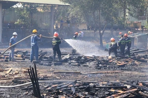 Đà Nẵng: Cháy lớn thiêu rụi bãi gỗ một công ty