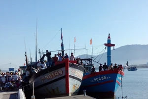 Đà Nẵng: Đình chỉ tất cả hoạt động tàu bè du lịch trên sông Hàn