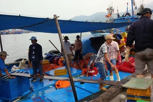 Hơn 2 tỉ đồng hỗ trợ ngư dân, tiểu thương vụ cá biển chết