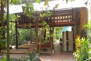 Chi cục trưởng chi cục kiểm lâm 'nghỉ hưu non' sau các vụ phá rừng