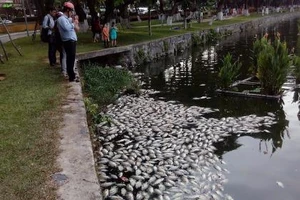 Đà Nẵng nạo vét lòng hồ 29-3 khắc phục tình trạng cá chết 