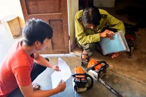 Quảng Nam: Bắt 3 nghi can phá rừng