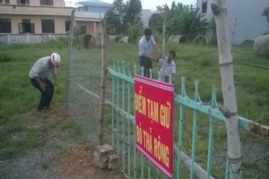 Lập 'trại tạm giữ' bò đi rông quậy phá phố phường