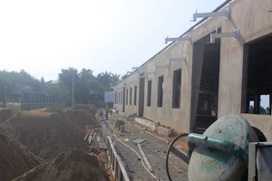 Nhà máy trái phép buộc phải dừng ngay việc xây dựng