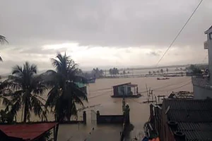 Cảnh báo lũ trên các sông từ Nghệ An đến Khánh Hòa