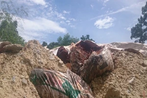 Công ty vi phạm môi trường chịu mức phạt cao tột khung