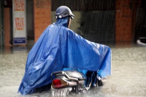 10 người chết vì lũ tại Quảng Ngãi và Bình Định