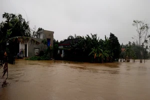 Quảng Nam: Hơn 15.300 ngôi nhà ngập trong lũ