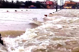 Cụ ông lao mình xuống lũ dữ cứu mạng nữ sinh viên