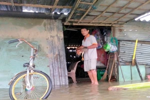 Quảng Nam: Hết ăn tết vì lũ vùi