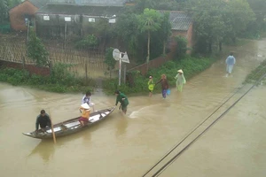 Tử vong khi chèo ghe thăm người thân mới sinh