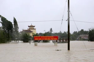 Các tỉnh miền Trung đề nghị cứu đói khẩn cấp