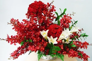 Đà Nẵng không nhận hoa mừng 20năm trực thuộc trung ương