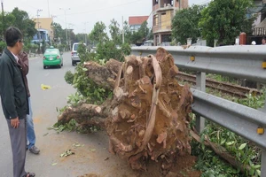 Vụ tàu SE2 dừng khẩn cấp, phạt tài xế xe cẩu 4 triệu