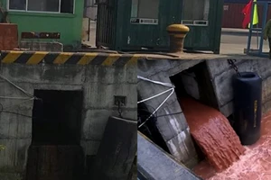 Cửa xả thải không phải ở Formosa mà ở cảng Tiên Sa