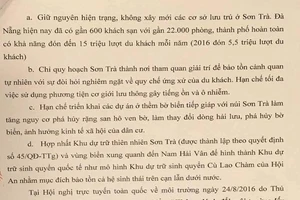 Gửi tâm thư tới Thủ tướng về số phận của Sơn Trà