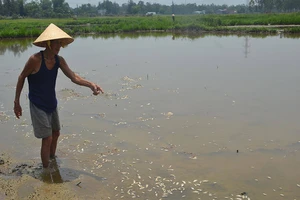 Nhà máy kẽm xả thải trái phép vượt gấp 1,5 lần