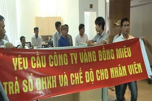 Hàng chục công nhân vây trụ sở Công ty Vàng Bồng Miêu