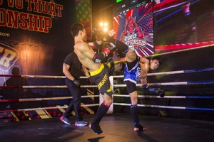 Johnny Trí Nguyễn làm đạo diễn võ thuật tại Đà Nẵng