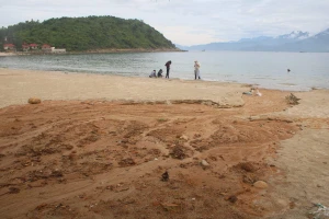 Báo cáo Thủ tướng giải pháp xử lý sạt lở tại Sơn Trà