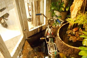 Gia đình 1 nhà báo ở Đà Nẵng bị khủng bố bằng rắn độc