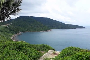 Dừng tham quan bán đảo Sơn Trà từ ngày 2-11