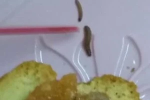 Kháng cáo vụ đăng con dòi trong bánh Trung thu lên mạng