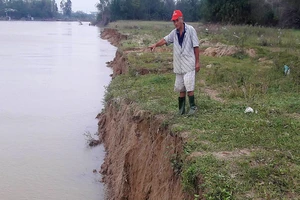 Đất sản xuất của người dân Đà Nẵng trôi xuống sông
