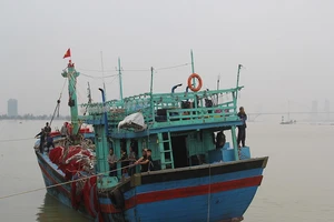 23 thuyền viên gặp nạn trên biển được cứu an toàn