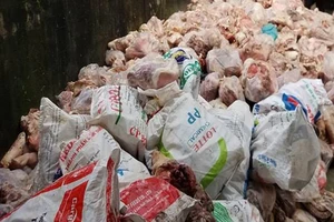 Chứa 15 tấn nội tạng hôi thối phạt 4,5 triệu đồng