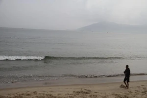 Chưa thể khẳng định biển Đà Nẵng ô nhiễm