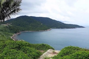 TTCP làm việc về các dự án ở bán đảo Sơn Trà