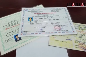 Đà Nẵng: Khởi tố tiến sĩ giả bôi nhọ lãnh đạo trường