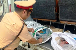 Bắt giữ xe khách chất đầy động vật quý hiếm