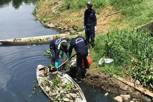 Cá chết trắng hồ ở Đà Nẵng