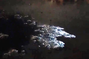 Nước thải bốc mùi hôi lại 'tấn công' biển Đà Nẵng