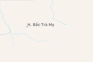 Chưa đầy nửa giờ, Quảng Nam chịu 2 trận động đất