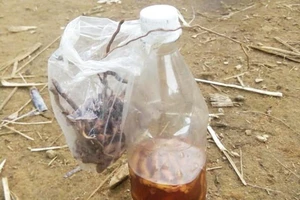 Hai cậu cháu tử vong sau khi uống rượu ngâm rễ cây