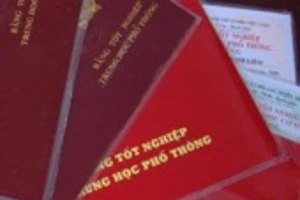 Quảng Nam cách chức 5 cán bộ xã vì bằng cấp