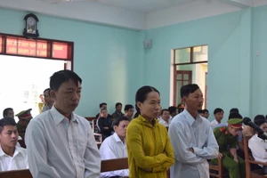 Hai vợ chồng phá rừng phòng hộ hầu tòa