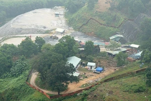 Công ty vàng phá sản, nợ trên 1.200 tỉ đồng