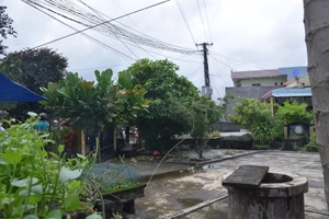 Điện lực thông tin vụ dây điện đứt làm chết người