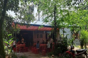 Chủ tịch Hội chữ thập đỏ bị ong đốt tử vong